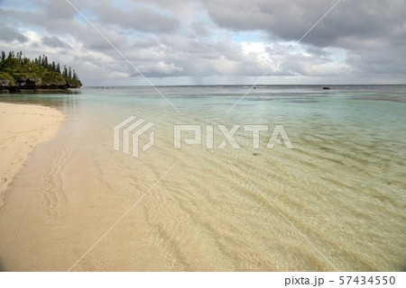 ニューカレドニア  ロイヤルティ諸島　マレ島　エニビーチの波紋 57434550