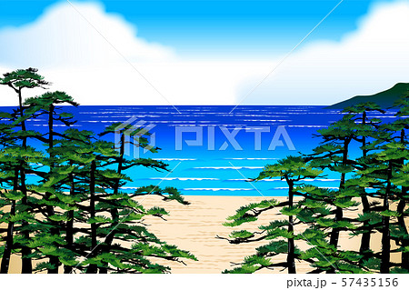 Pine Sea Stock Illustration