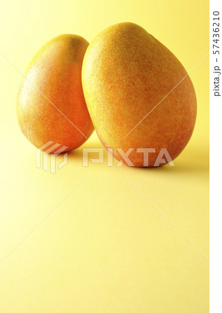 完熟マンゴー 完熟マンゴー 57436210