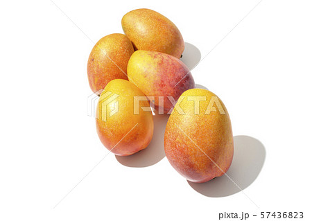 マンゴーたくさん 57436823