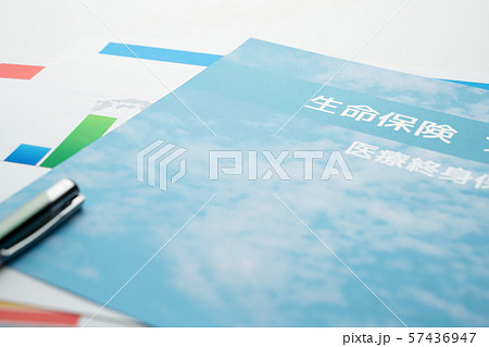 パンフレット 57436947