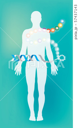 Protein Structure. Infographic Illustration. Protein Structure. Infographic Illustration. 57437143