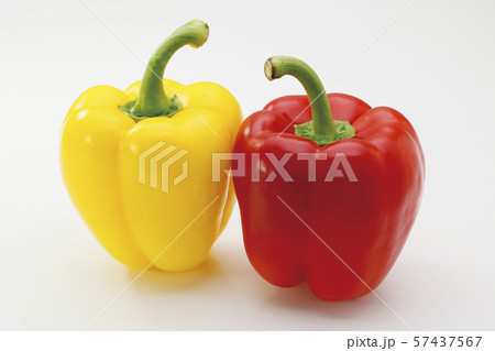 パプリカ06（パス付） 57437567