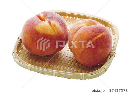 ワッサー04（パス付） 57437578