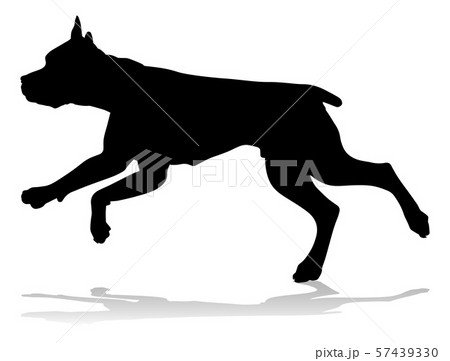 Dog Silhouette Pet Animal Dog Silhouette Pet Animal 57439330