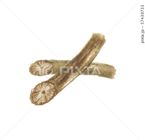 オオツヅラフジ　ボウイ 57439733