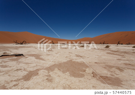 Dead Vlei Dead Vlei 57440575