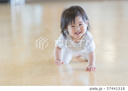 1 year old 1 year old 57441318