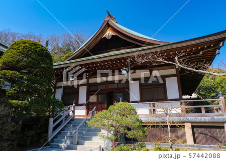 鎌倉 報国寺 迦葉堂 57442088
