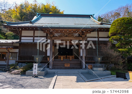 鎌倉 報国寺 本堂 57442098