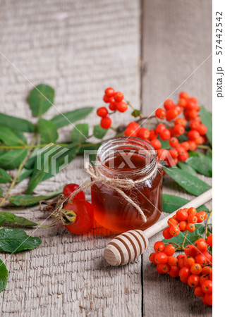 Fresh rose hip berries, rowan and honey on wooden 57442542