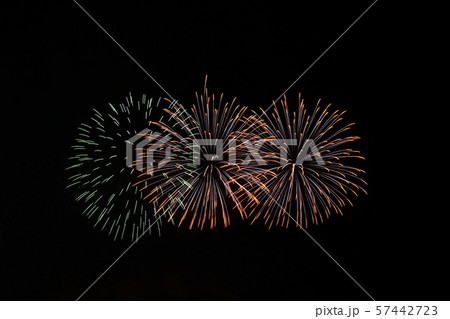 2019 うつのみや花火大会 ( 栃木県宇都宮市 ) 鬼怒川 道場宿緑地 2019 うつのみや花火大会 ( 栃木県宇都宮市 ) 鬼怒川 道場宿緑地 57442723