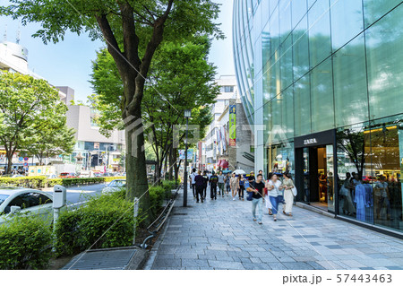 【東京都】表参道の風景 【東京都】表参道の風景 57443463