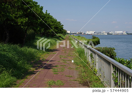 海辺の公園 57444905