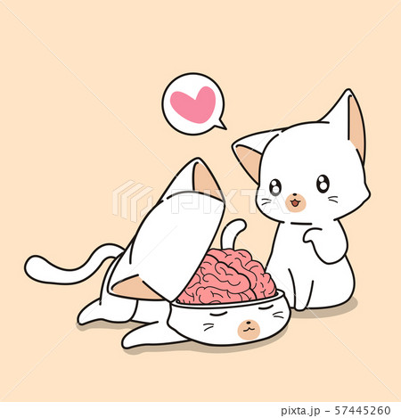 Hand Drawn Kawaii Cat Is Looking The Brainのイラスト素材