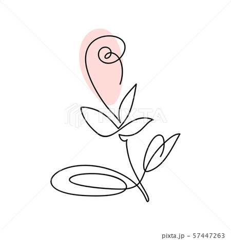 Continuous line hand drawing calligraphic vector flower rose concept logo beauty. Monoline spring 57447263
