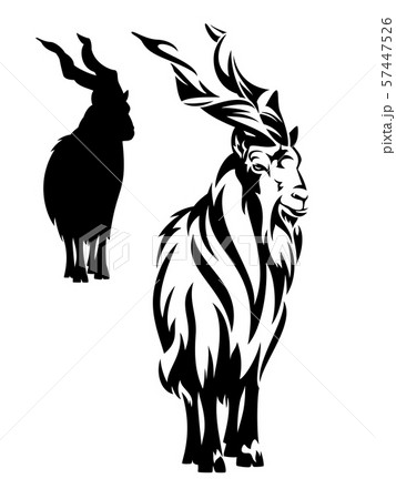 markhor mountain goat black vector outline and silhouette 57447526