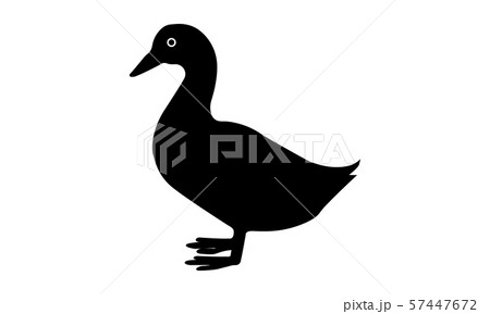 Duck icon silhouette vector illustration Duck icon silhouette vector illustration 57447672