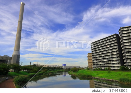 旧中川の風景 57448802