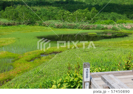 浮島湿原：栂池自然園　　　　　　　　　北安曇郡小谷村 57450890