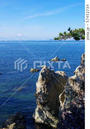 千貫松（葉山町） 57452734
