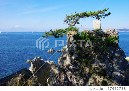 千貫松（葉山町） 57452738