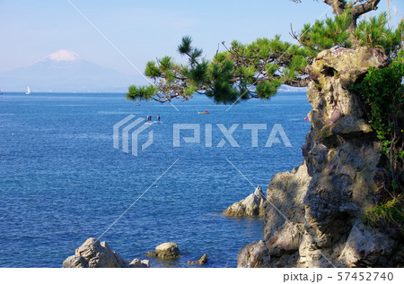 千貫松（葉山町） 57452740