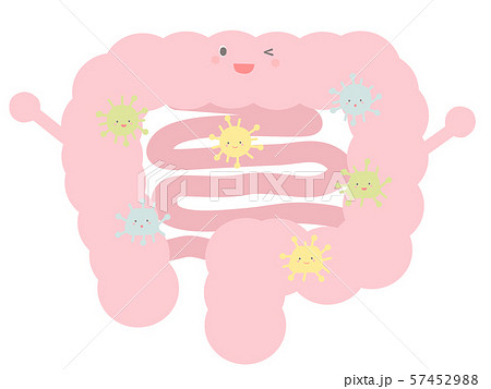 大腸にいるかわいい善玉菌のイラスト素材
