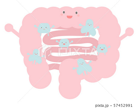 大腸にいるかわいいビフィズス菌のイラスト素材