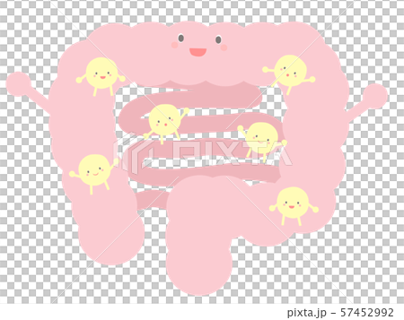 大腸にいるかわいい善玉菌のイラスト素材