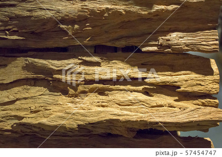 Brown Wood texture 57454747