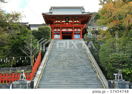 神奈川　湘南　鎌倉　鶴岡八幡宮 57454748