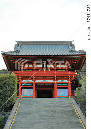 神奈川 湘南 鎌倉 鶴岡八幡宮 神奈川 湘南 鎌倉 鶴岡八幡宮 57454786