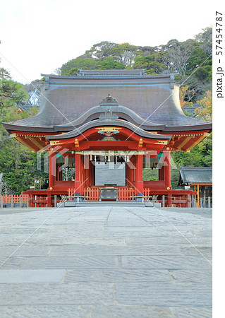 神奈川 湘南 鎌倉 鶴岡八幡宮 神奈川 湘南 鎌倉 鶴岡八幡宮 57454787