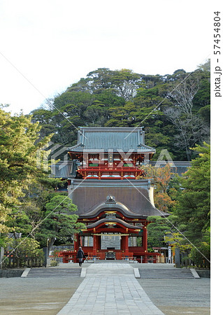 神奈川 湘南 鎌倉 鶴岡八幡宮 神奈川 湘南 鎌倉 鶴岡八幡宮 57454804