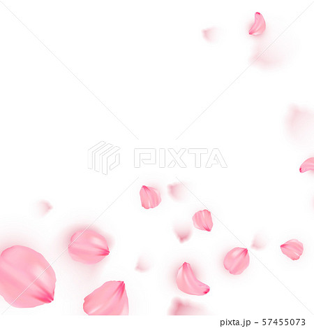 Pink sakura falling petals vector background 57455073