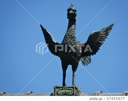 京都 光明山即成院の鳳凰 57455077