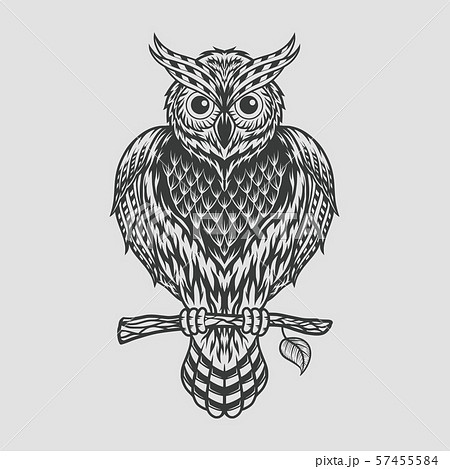 Hand Drawn Owl Sitting On Branch Engraved Stock Illustration