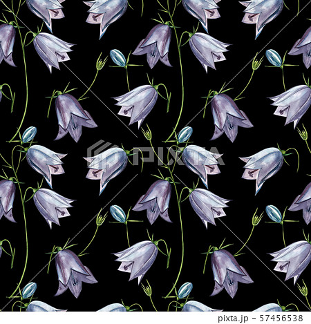 Bellflower blossoms, leaves and bouquets set. Seamless patterns. Watercolor set of flowers and Bellflower blossoms, leaves and bouquets set. Seamless patterns. Watercolor set of flowers and 57456538