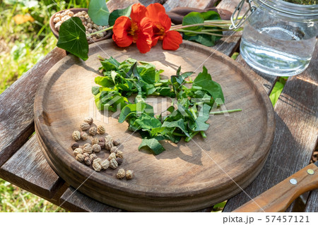 Preparation of tincture from fresh nasturtium 57457121