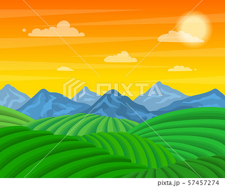 Cartoon Tea Plantation Green Fields Landscape Background Scene. Vector Cartoon Tea Plantation Green Fields Landscape Background Scene. Vector 57457274