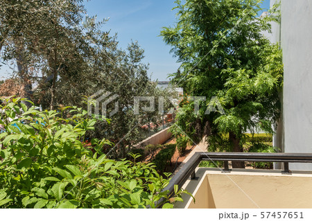 View from the balcony to the hotels. Green trees and blue skies. 57457651