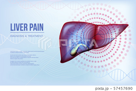 Realistic liver and gallbladder baner concept 57457690