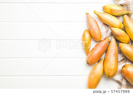 The golden shallot onion. Fresh bulbs. 57457999