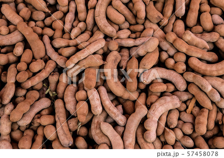 Asia, Thailand, Crop - Plant, Taking Pulse, Asia, Thailand, Crop - Plant, Taking Pulse, 57458078