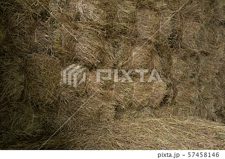 Stored hay bales wall inside barn background. Stored hay bales wall inside barn background. 57458146
