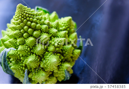 Close up view of amazing Romanesco broccoli or Roman cauliflower on wet dark blue background. Its 57458385