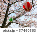 さくらと提灯_01 57460563