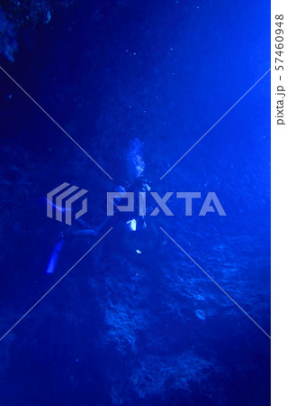 宮古島市下地島にあるダイビングスポットの海底洞窟の女王の部屋で静止するダイバー 57460948