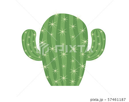 サボテンのイラストのイラスト素材